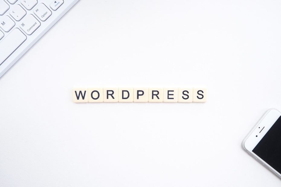 ¿Cuál es el precio de una web en WordPress?